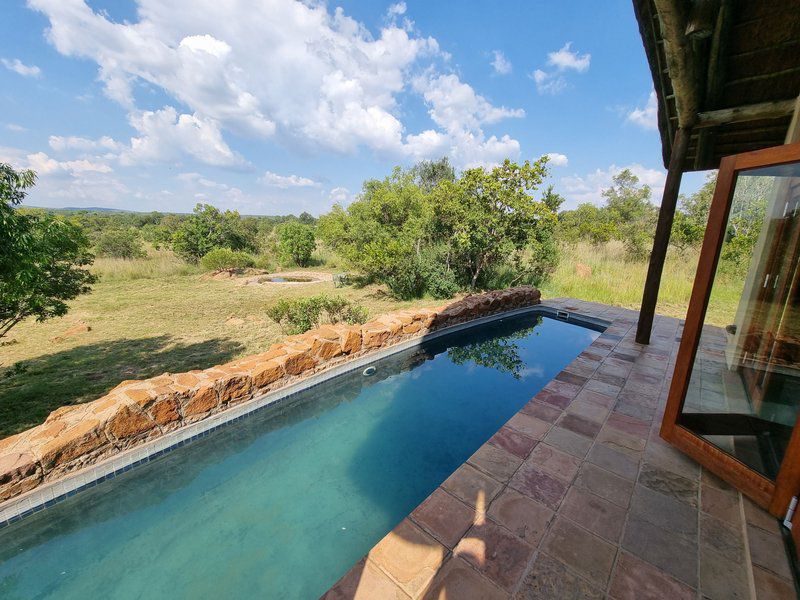 Thabanyani Mabalingwe Mabalingwe Nature Reserve Bela Bela Warmbaths Limpopo Province South Africa Complementary Colors, Swimming Pool