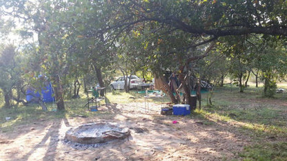 Thabaphaswa Mountain Sanctuary Mokopane Potgietersrus Limpopo Province South Africa Forest, Nature, Plant, Tree, Wood, Tent, Architecture