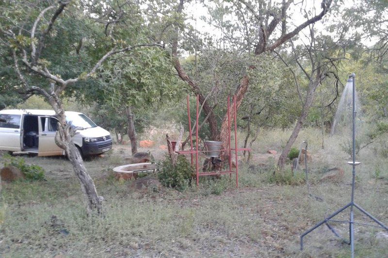 Thabaphaswa Mountain Sanctuary Mokopane Potgietersrus Limpopo Province South Africa Unsaturated, Cactus, Plant, Nature, Tree, Wood, Car, Vehicle