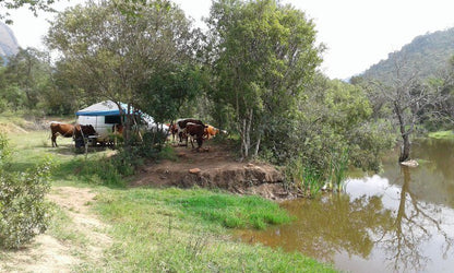 Thabaphaswa Mountain Sanctuary Mokopane Potgietersrus Limpopo Province South Africa River, Nature, Waters