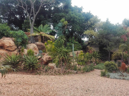 Thabeng Guest House, Palm Tree, Plant, Nature, Wood, Garden