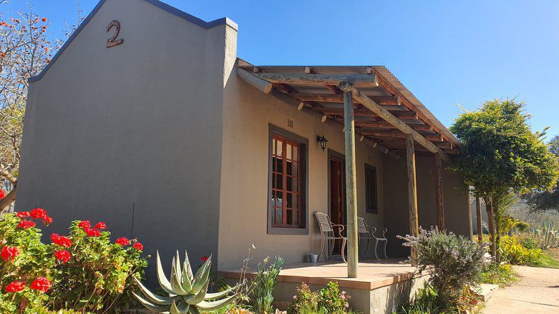 Thabile Lodge Oudtshoorn Western Cape South Africa Complementary Colors, House, Building, Architecture