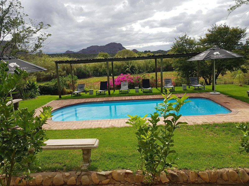 Thabile Lodge Oudtshoorn Western Cape South Africa Swimming Pool
