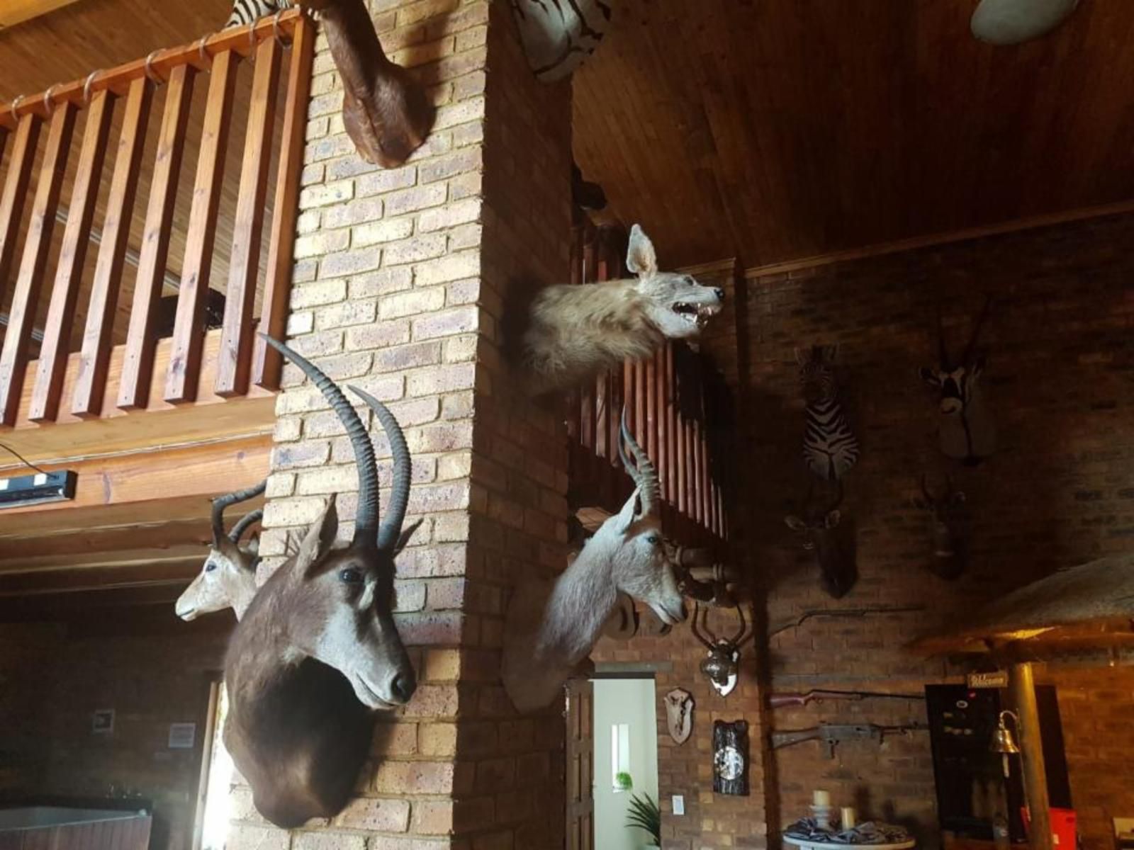Thabong Guesthouse Carnival City Brakpan Gauteng South Africa Animal