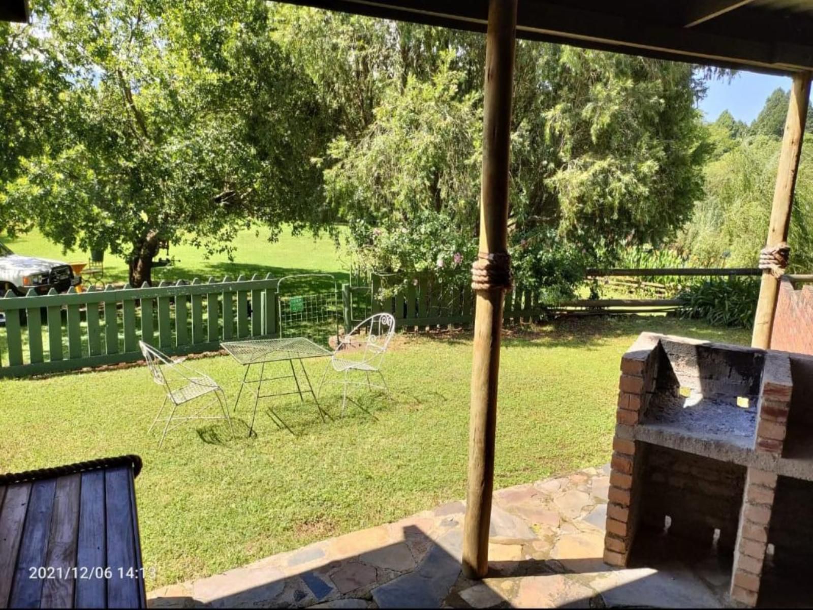 Thandamanzi Self Catering Sabie Mpumalanga South Africa Garden, Nature, Plant