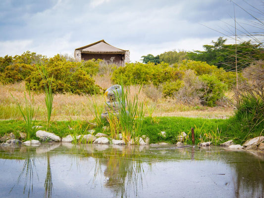 Thali Thali Game Lodge Olifantskop Langebaan Western Cape South Africa Complementary Colors, Garden, Nature, Plant