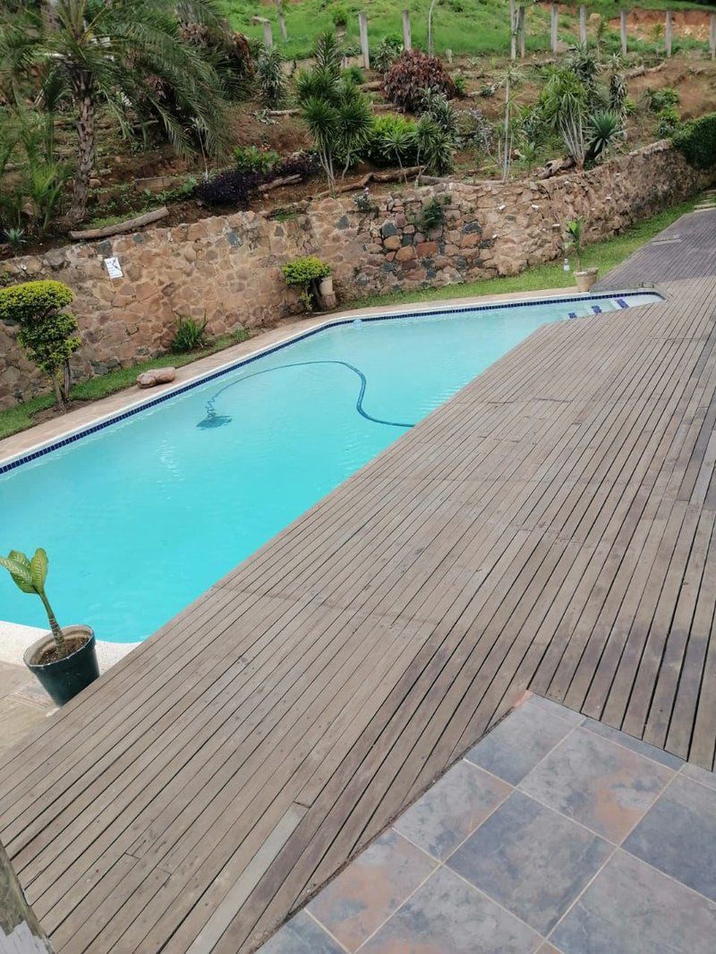 Thames Guest House Berea West Durban Kwazulu Natal South Africa Garden, Nature, Plant, Swimming Pool