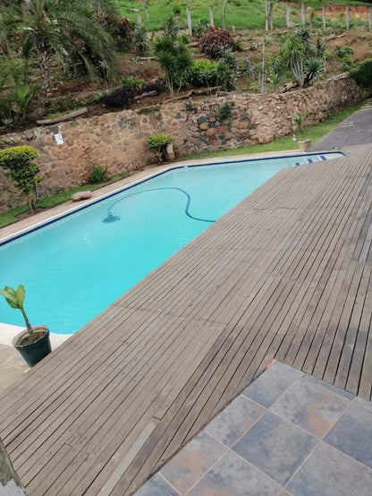 Thames Guest House Berea West Durban Kwazulu Natal South Africa Garden, Nature, Plant, Swimming Pool
