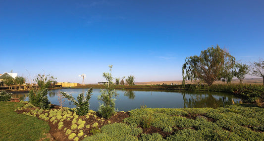 Thanda Tau Vrede Free State Free State South Africa Complementary Colors, Lowland, Nature