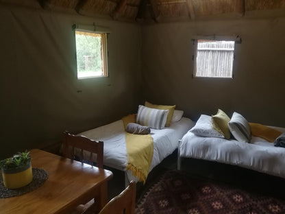 Thandile Country Lodge Bela Bela Warmbaths Limpopo Province South Africa Bedroom