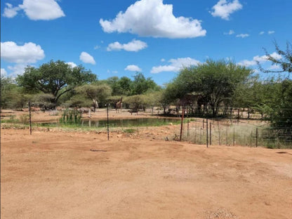 Thandolwami Bushlodge & Spa, Cactus, Plant, Nature, Desert, Sand, Lowland