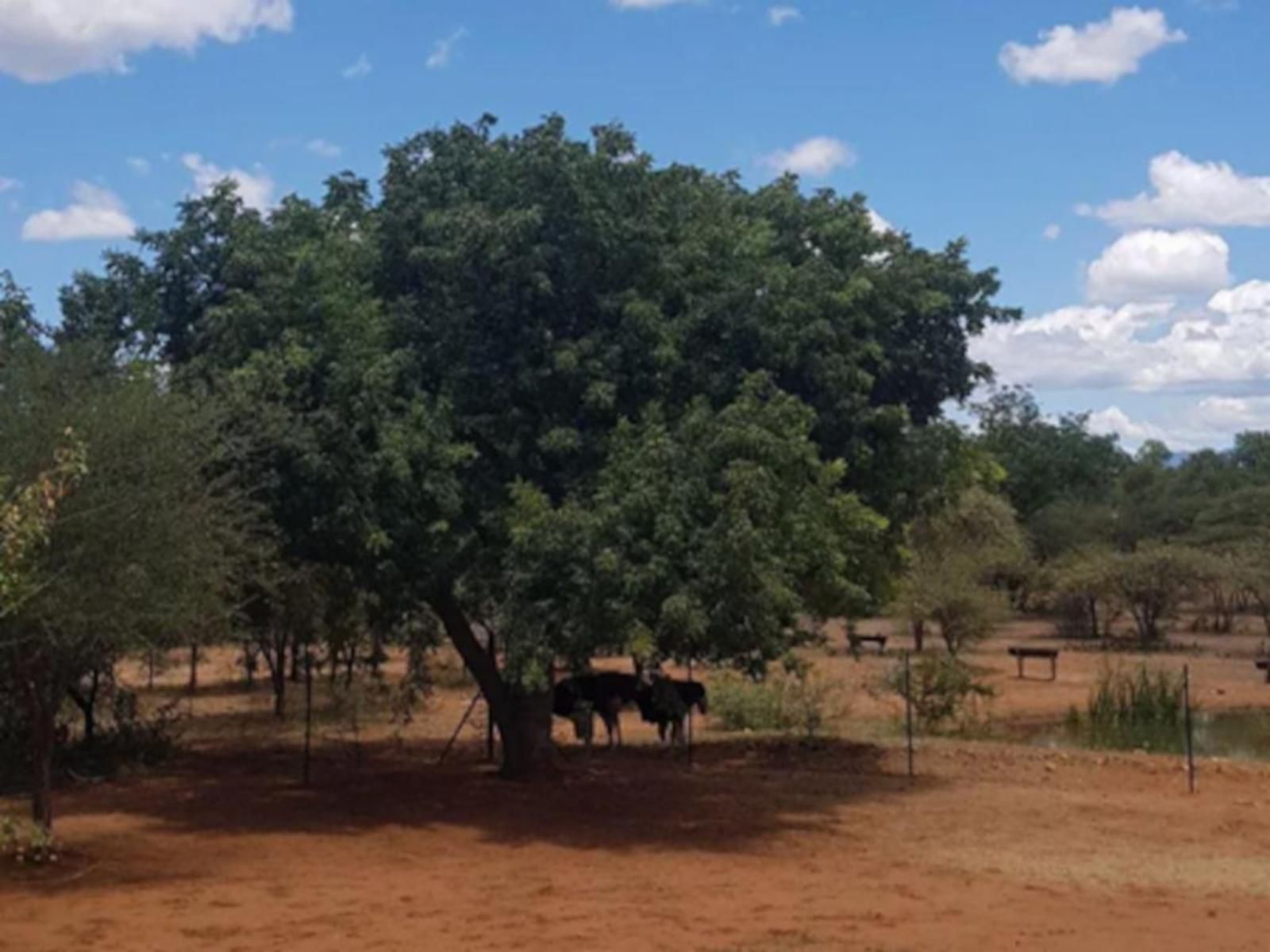 Thandolwami Bushlodge & Spa, Lowland, Nature