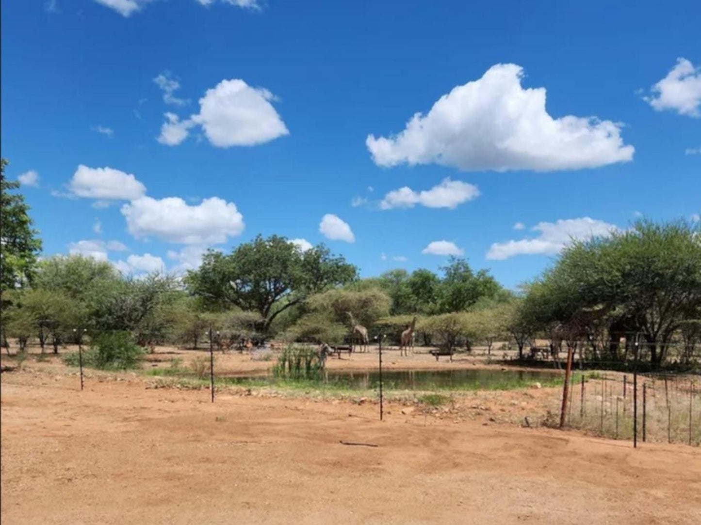 Thandolwami Bushlodge & Spa, Lowland, Nature