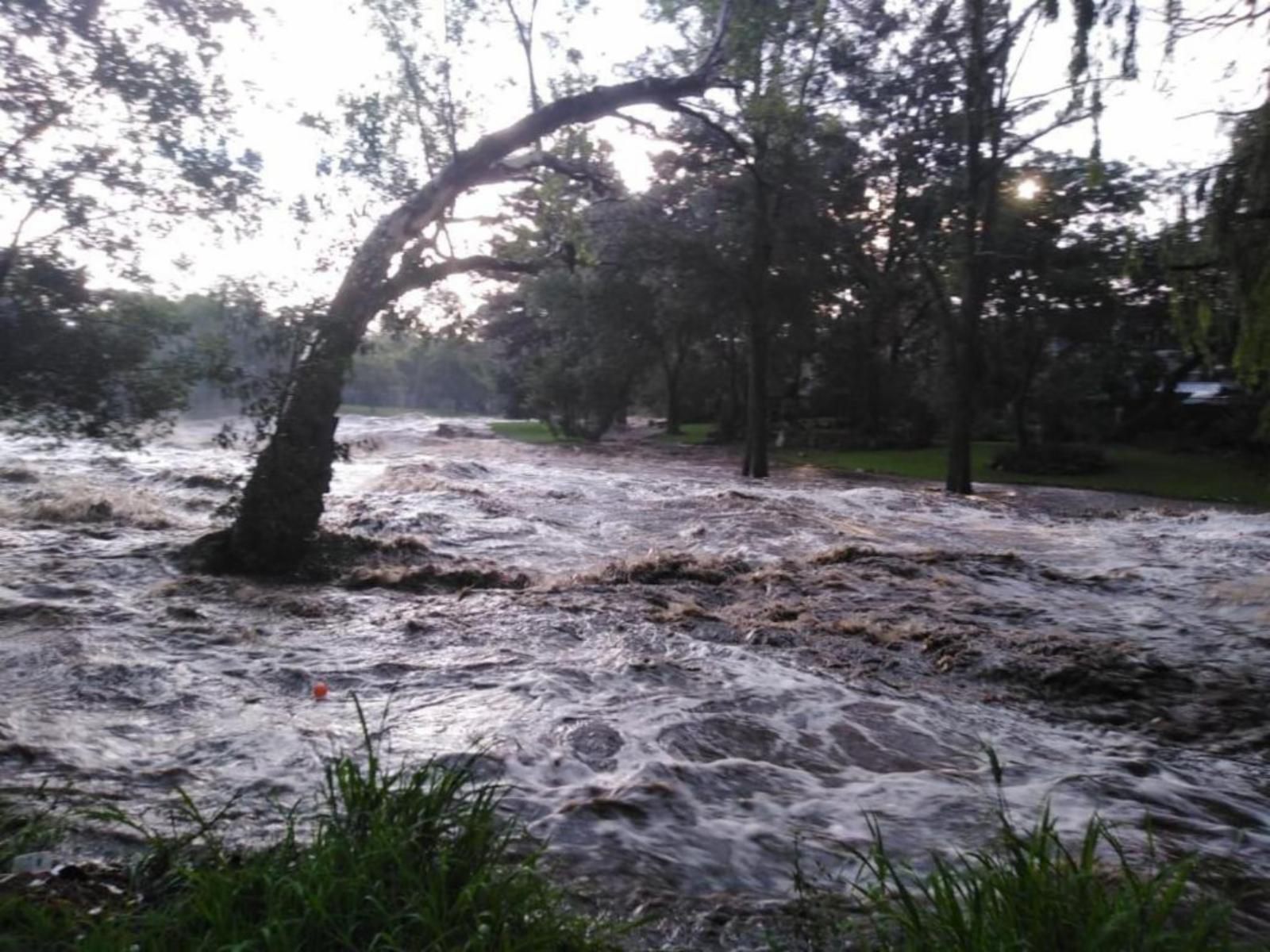 Thatchfoord Lodge Morningside Jhb Johannesburg Gauteng South Africa Unsaturated, River, Nature, Waters