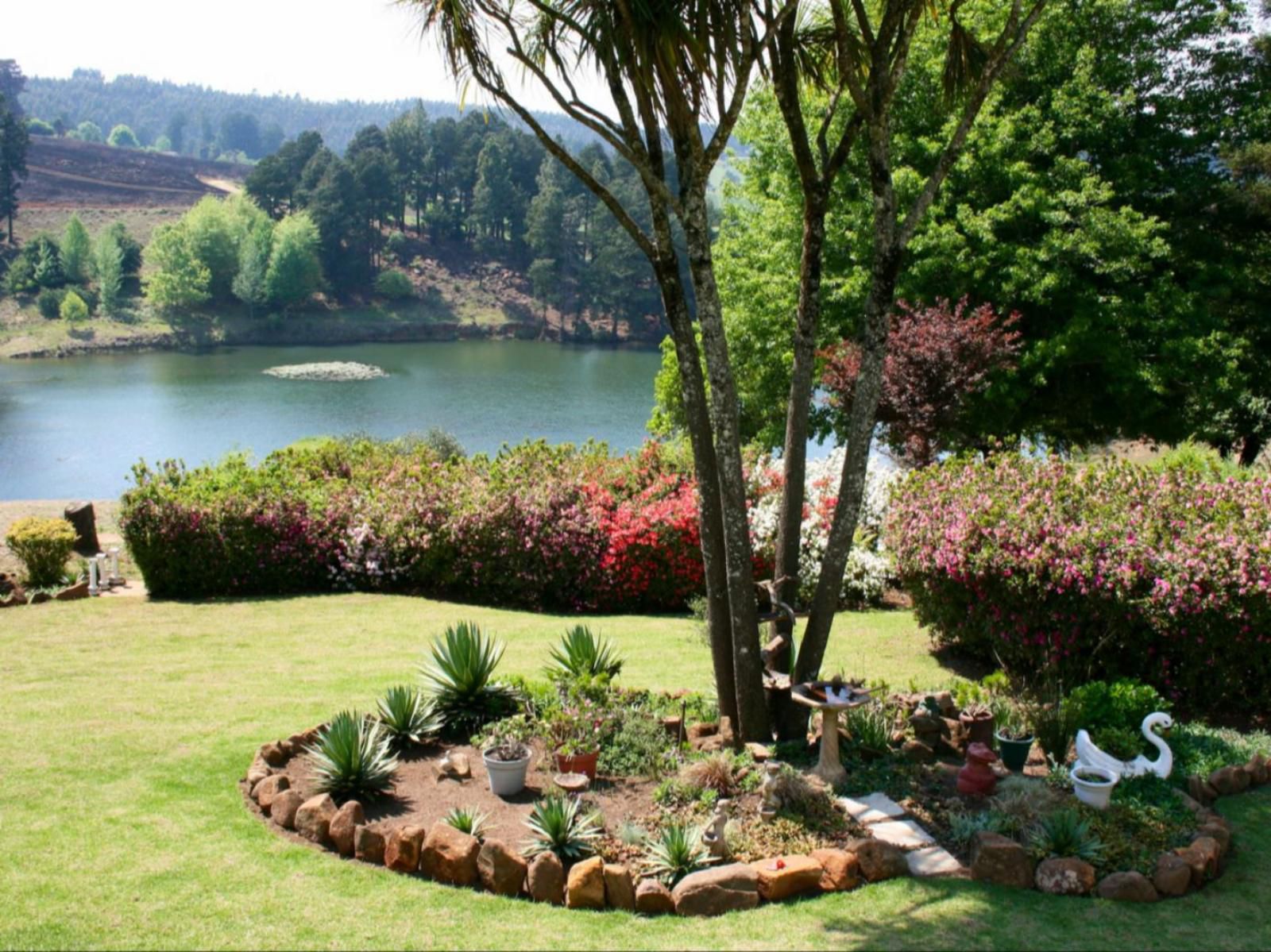 Thatchings Guest House And Conference Venue Nottingham Road Kwazulu Natal South Africa Plant, Nature, Garden