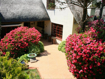 Thatchings Guest House And Conference Venue Nottingham Road Kwazulu Natal South Africa House, Building, Architecture, Plant, Nature, Garden