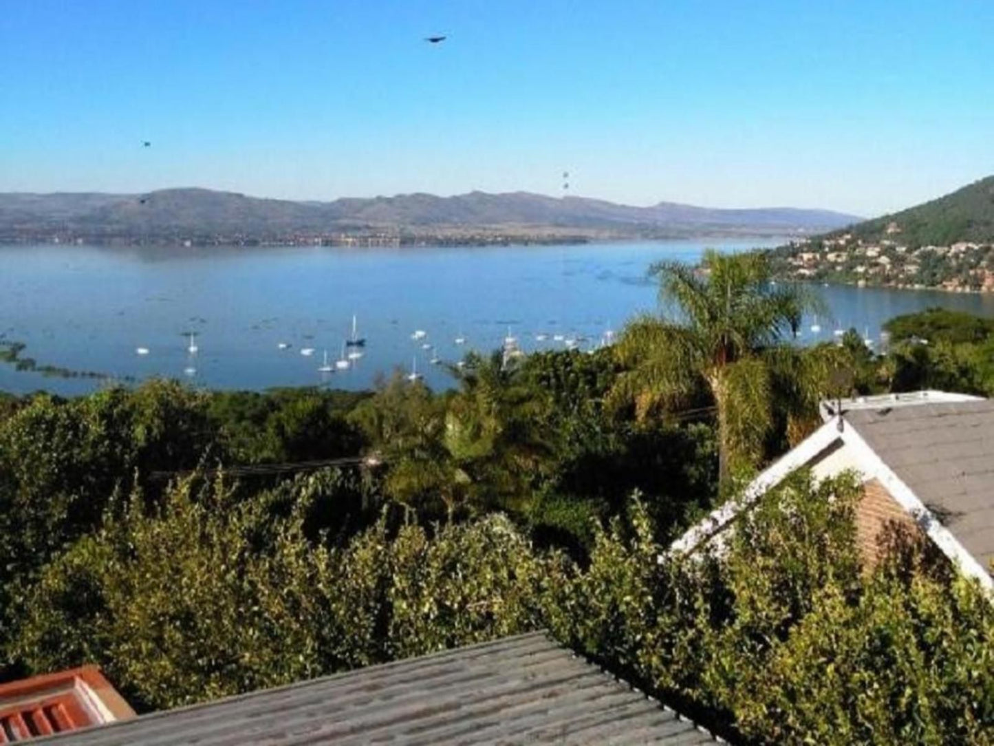 Thatchview Hartbeespoort North West Province South Africa Complementary Colors, Lake, Nature, Waters, Palm Tree, Plant, Wood