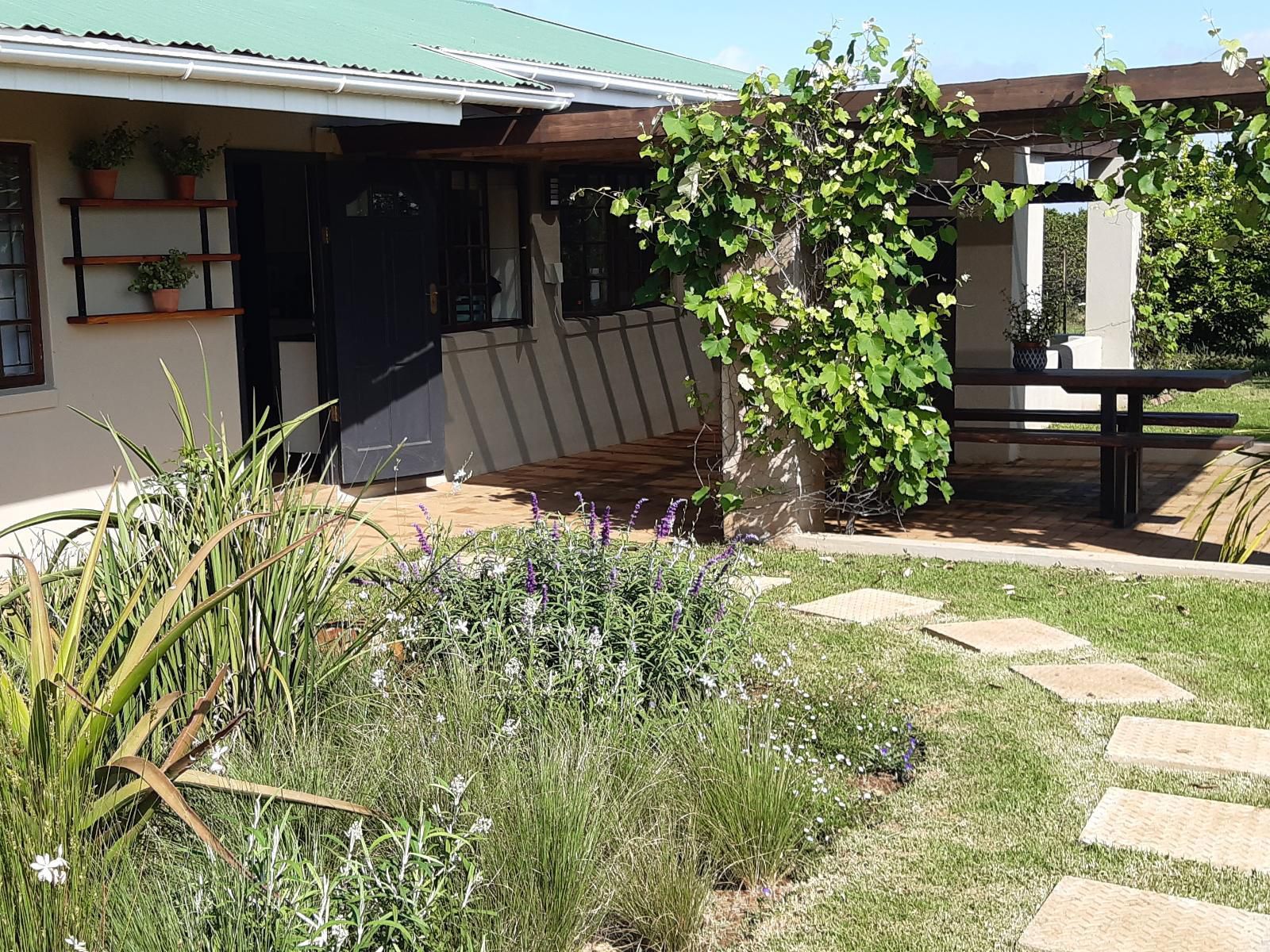 The Aloes Farm - The Studio & The Gallery, House, Building, Architecture, Plant, Nature, Garden