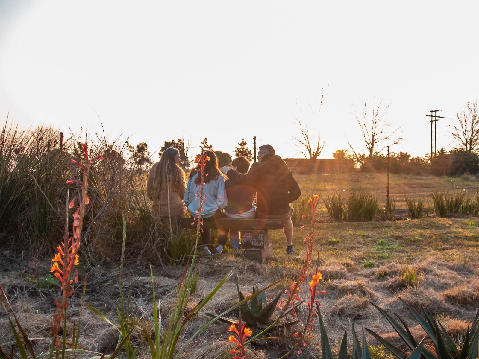 The Aloes Farm - The Studio & The Gallery, Group, Person