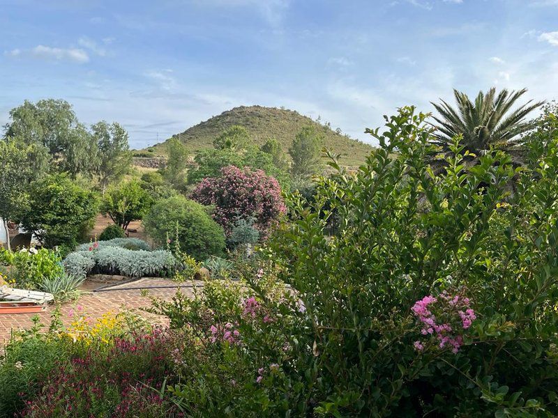 The Aloes Bethulie Free State South Africa Complementary Colors, Plant, Nature, Garden