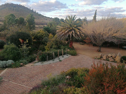 The Aloes Bethulie Free State South Africa Plant, Nature, Garden