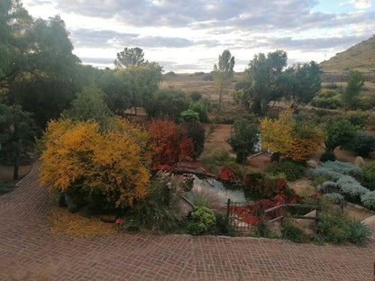 The Aloes Bethulie Free State South Africa Cactus, Plant, Nature, Canyon, Autumn, Garden