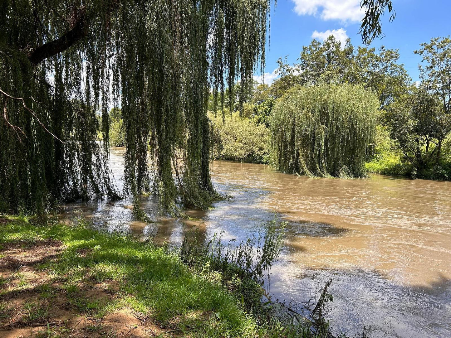 The Angel River Villa, River, Nature, Waters, Tree, Plant, Wood