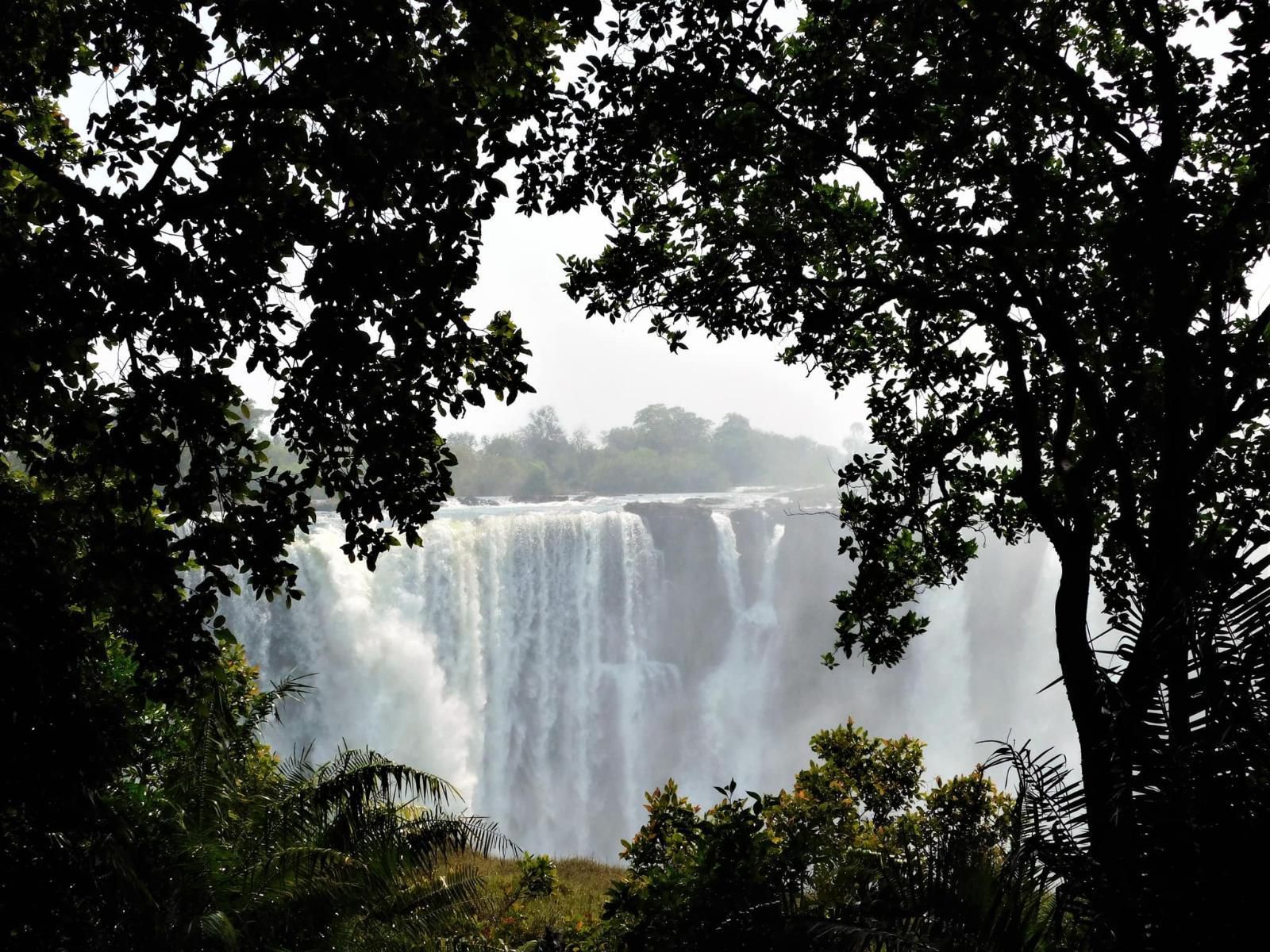 The Art House Victoria Falls, River, Nature, Waters, Tree, Plant, Wood, Waterfall