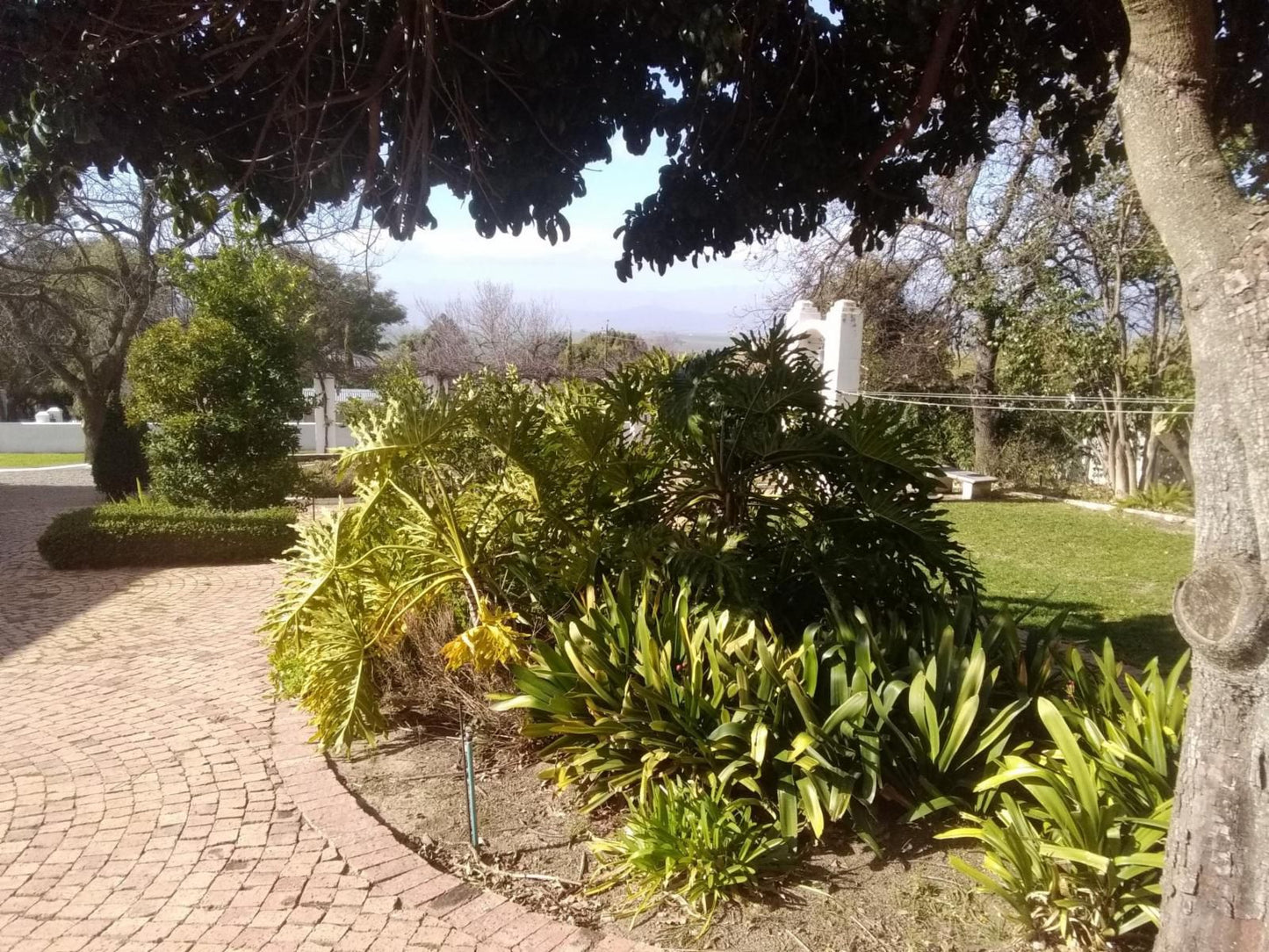 The Barn Of Merindol Riebeek West Western Cape South Africa Palm Tree, Plant, Nature, Wood, Garden