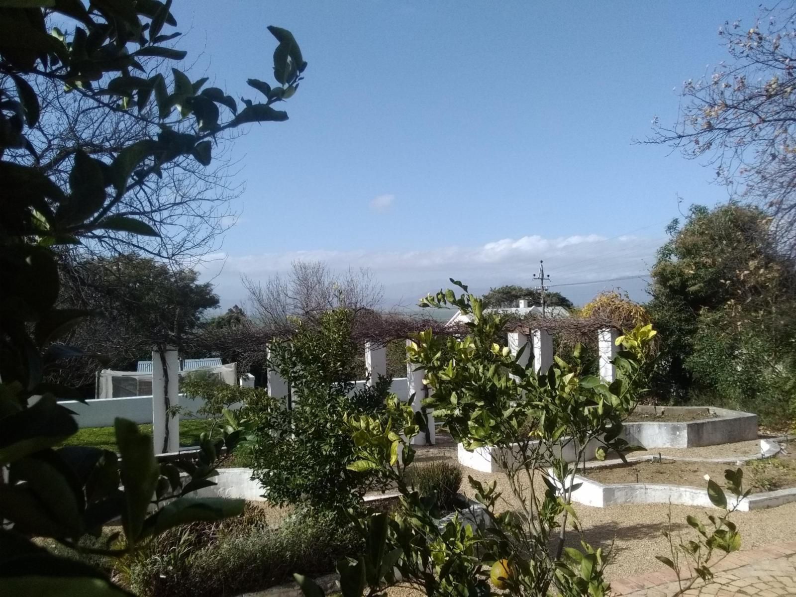 The Barn Of Merindol Riebeek West Western Cape South Africa Palm Tree, Plant, Nature, Wood, Cemetery, Religion, Grave, Garden