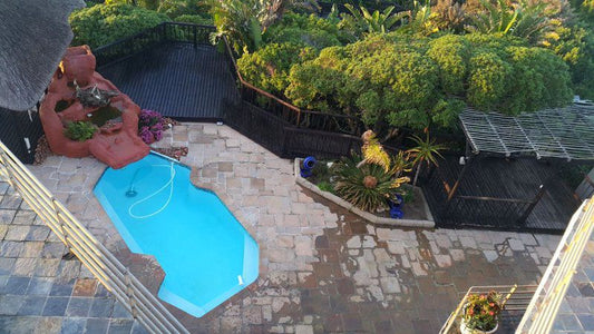 The Beach House In Paradise Beach Jeffreys Bay Eastern Cape South Africa Palm Tree, Plant, Nature, Wood, Garden, Swimming Pool