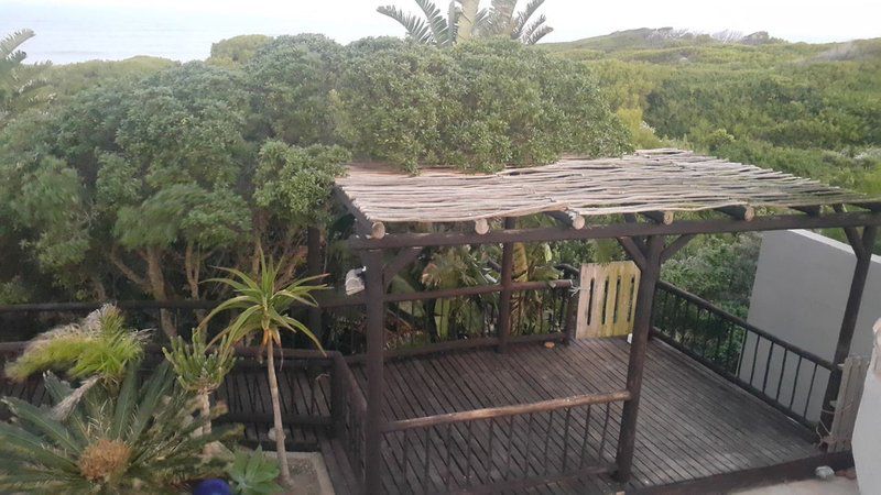 The Beach House In Paradise Beach Jeffreys Bay Eastern Cape South Africa Unsaturated, Palm Tree, Plant, Nature, Wood, Garden