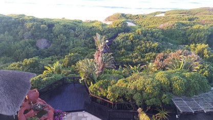 The Beach House In Paradise Beach Jeffreys Bay Eastern Cape South Africa Plant, Nature, Garden