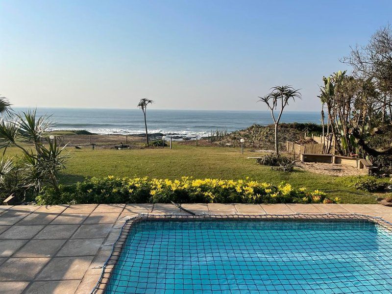 The Beach House Oslo Beach Kwazulu Natal South Africa Complementary Colors, Beach, Nature, Sand, Palm Tree, Plant, Wood, Swimming Pool