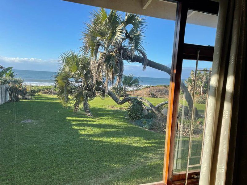 The Beach House Oslo Beach Kwazulu Natal South Africa Complementary Colors, Beach, Nature, Sand, Palm Tree, Plant, Wood, Framing