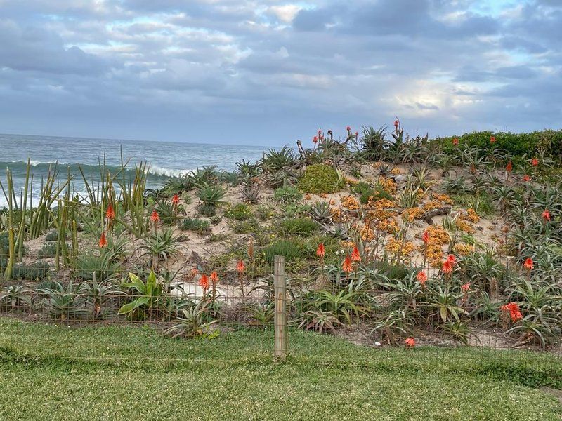 The Beach House Oslo Beach Kwazulu Natal South Africa Complementary Colors, Beach, Nature, Sand, Plant, Garden