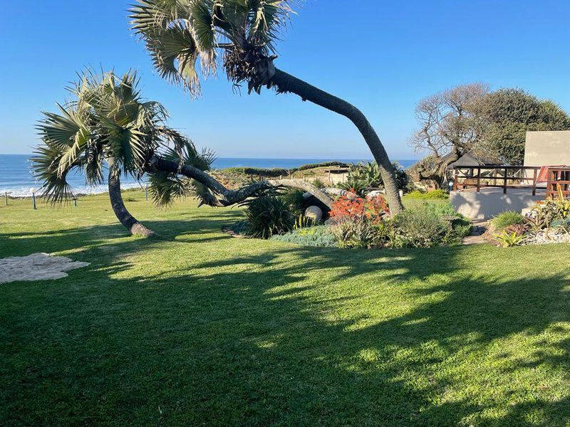 The Beach House Oslo Beach Kwazulu Natal South Africa Complementary Colors, Beach, Nature, Sand, Palm Tree, Plant, Wood, Garden