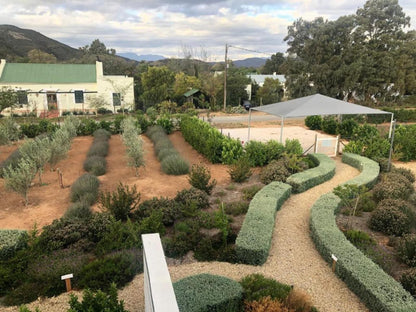 The Bean Tree Mcgregor Western Cape South Africa Plant, Nature, Garden