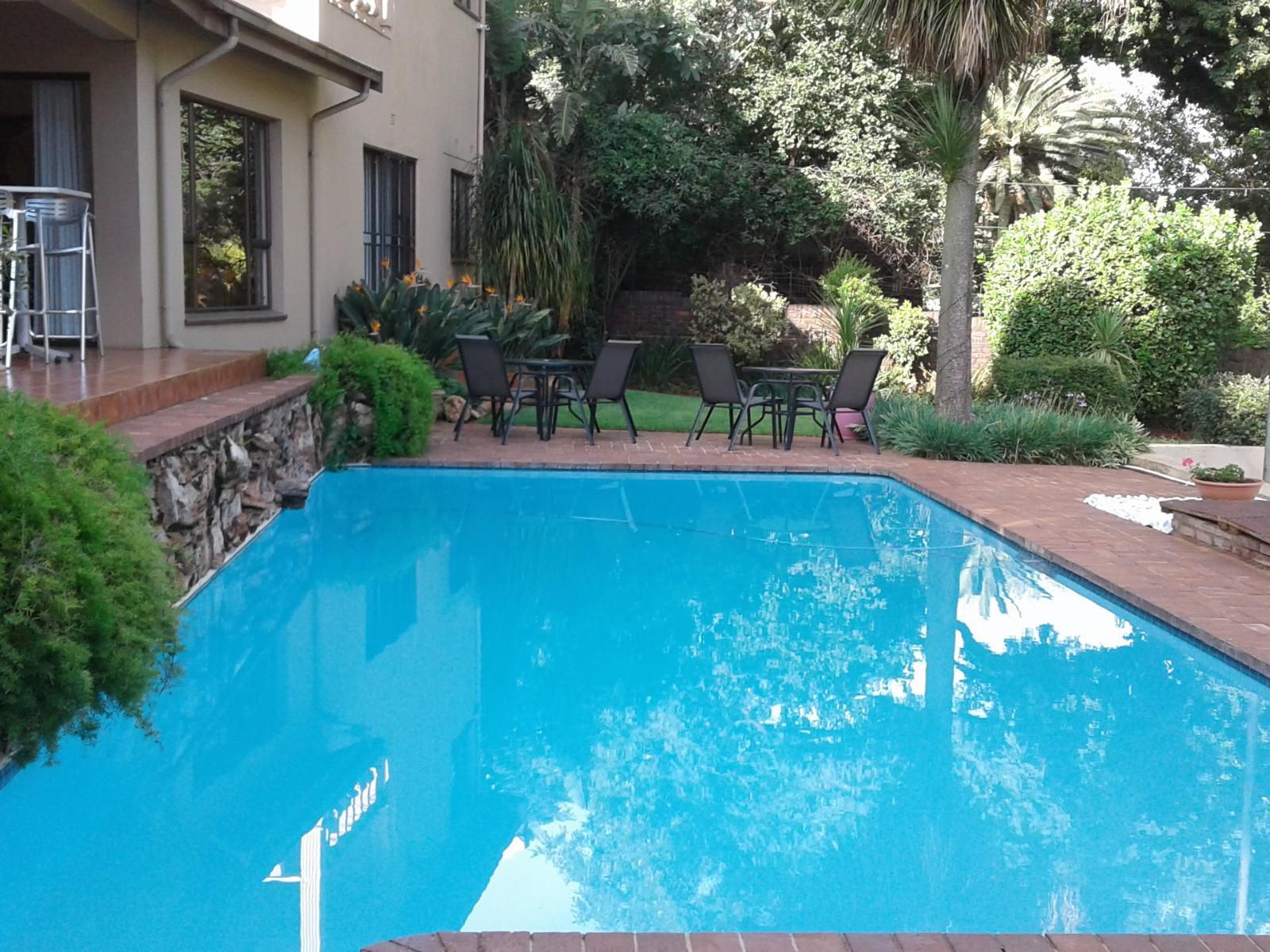 The Bedford View Guest House Bedfordview Johannesburg Gauteng South Africa House, Building, Architecture, Palm Tree, Plant, Nature, Wood, Garden, Swimming Pool