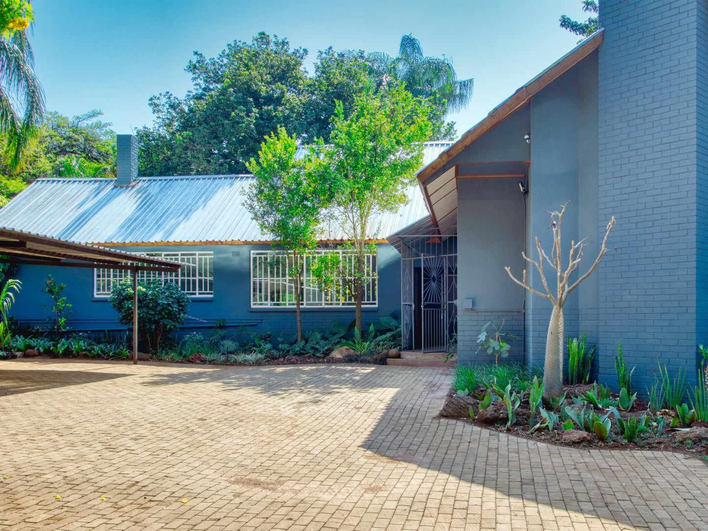 The Beekeeper S Inn Makhado Louis Trichardt Limpopo Province South Africa Complementary Colors, House, Building, Architecture, Palm Tree, Plant, Nature, Wood