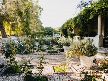 The Bethesda Guesthouse, Plant, Nature, Garden