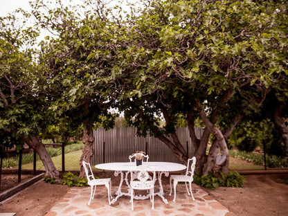 The Bethesda Guesthouse, Suster Alice, Plant, Nature