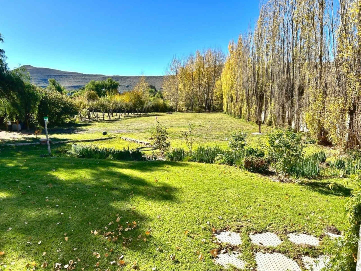 The Bethesda Guesthouse, The Cottage, Garden, Nature, Plant