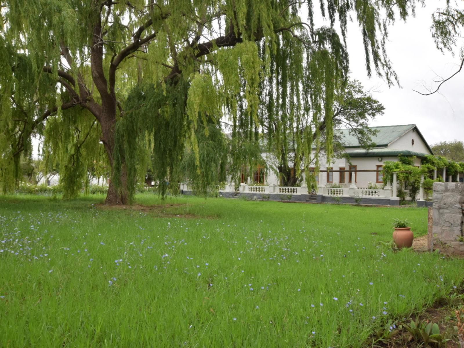 The Bethesda Nieu Bethesda Eastern Cape South Africa House, Building, Architecture, Plant, Nature