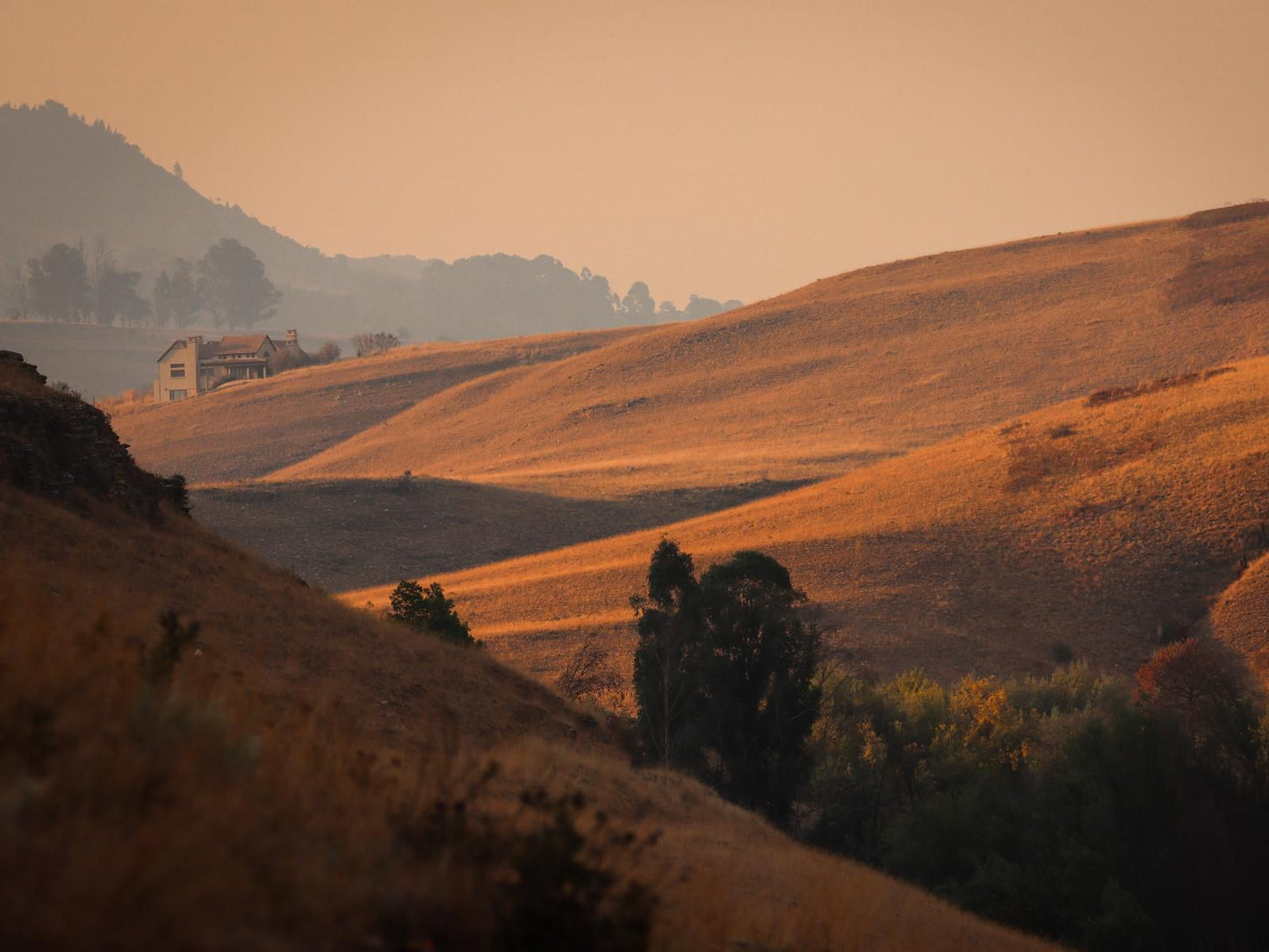 The Big Easy Rest Dullstroom Mpumalanga South Africa Field, Nature, Agriculture