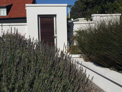 The Blue Lotus Guesthouse Summerstrand Port Elizabeth Eastern Cape South Africa House, Building, Architecture, Plant, Nature, Window, Garden