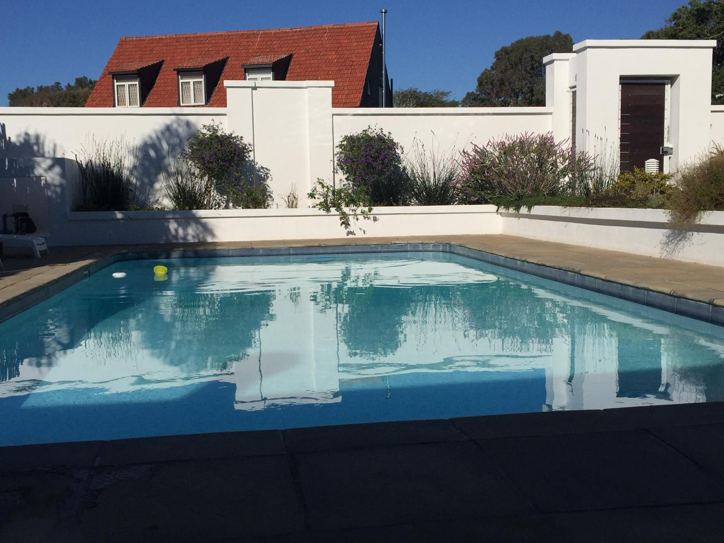 The Blue Lotus Guesthouse Summerstrand Port Elizabeth Eastern Cape South Africa House, Building, Architecture, Swimming Pool