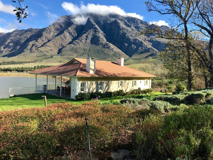 The Boathouse At Oakhurst Olives Tulbagh Western Cape South Africa Mountain, Nature, Highland