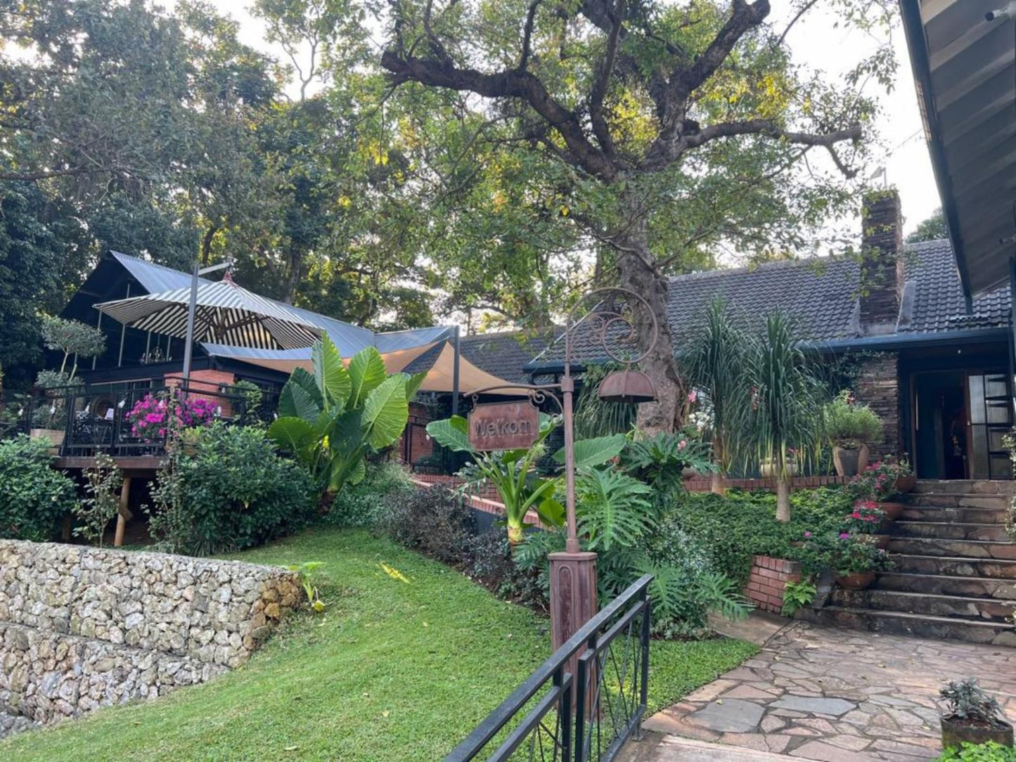 The Bohemian Guest House Arbor Park Tzaneen Limpopo Province South Africa House, Building, Architecture, Palm Tree, Plant, Nature, Wood, Garden