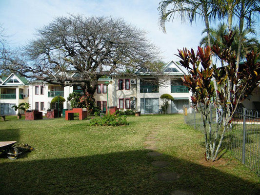 The Bridge 9 St Lucia Kwazulu Natal South Africa House, Building, Architecture, Palm Tree, Plant, Nature, Wood